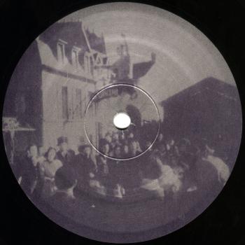 fly on a wire b label